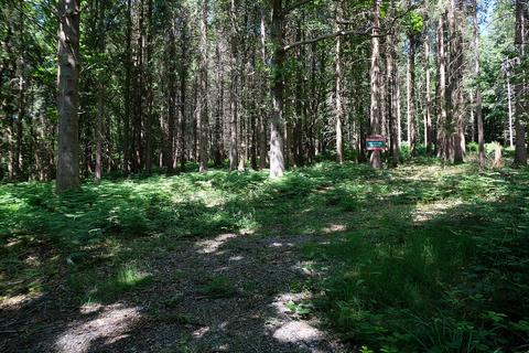 Woodland for sale, Junction Road, Staplecross TN32