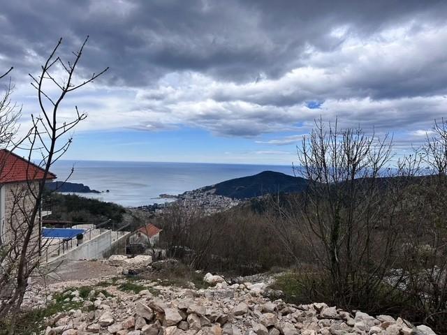 Image1