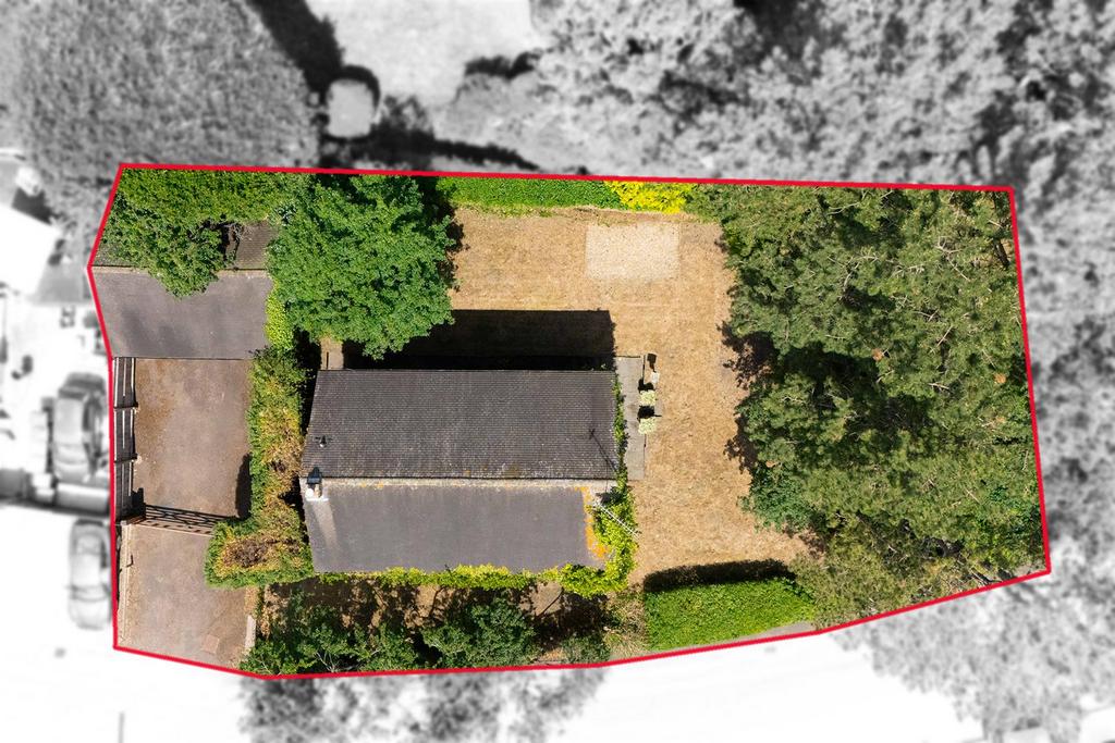 DJI 20250625133816 0264 D.jpg