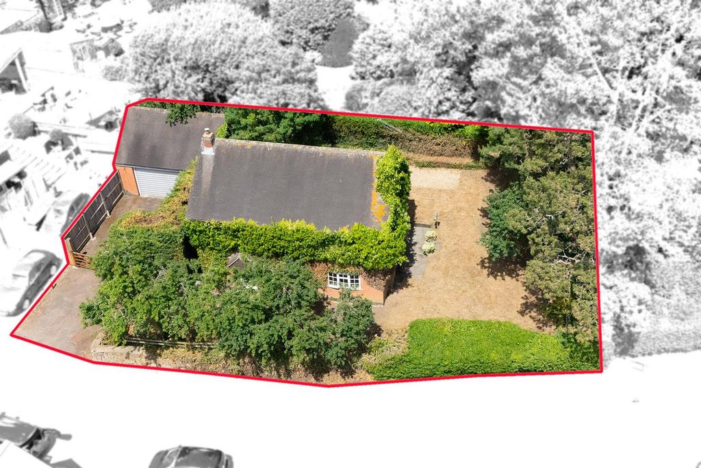 DJI 20250625133909 0267 D.jpg