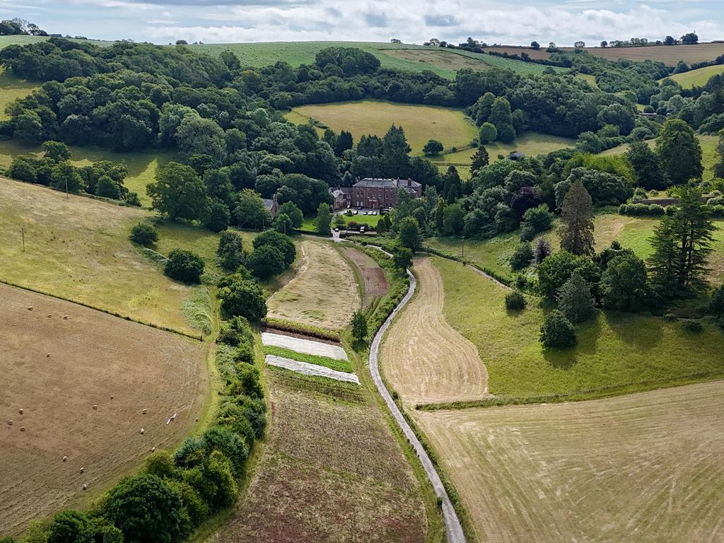 Dji fly 20250627 101308 0438 1751016637453 photo.J