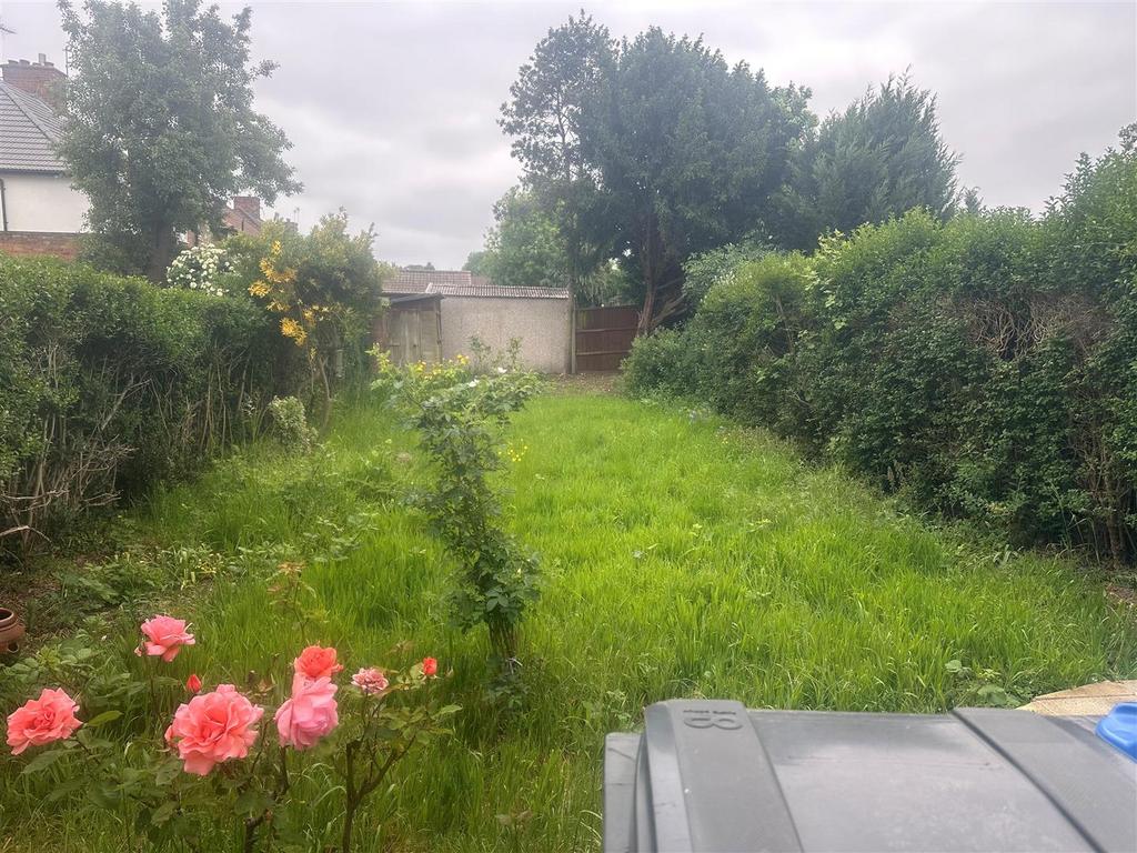 Garden copy.jpg