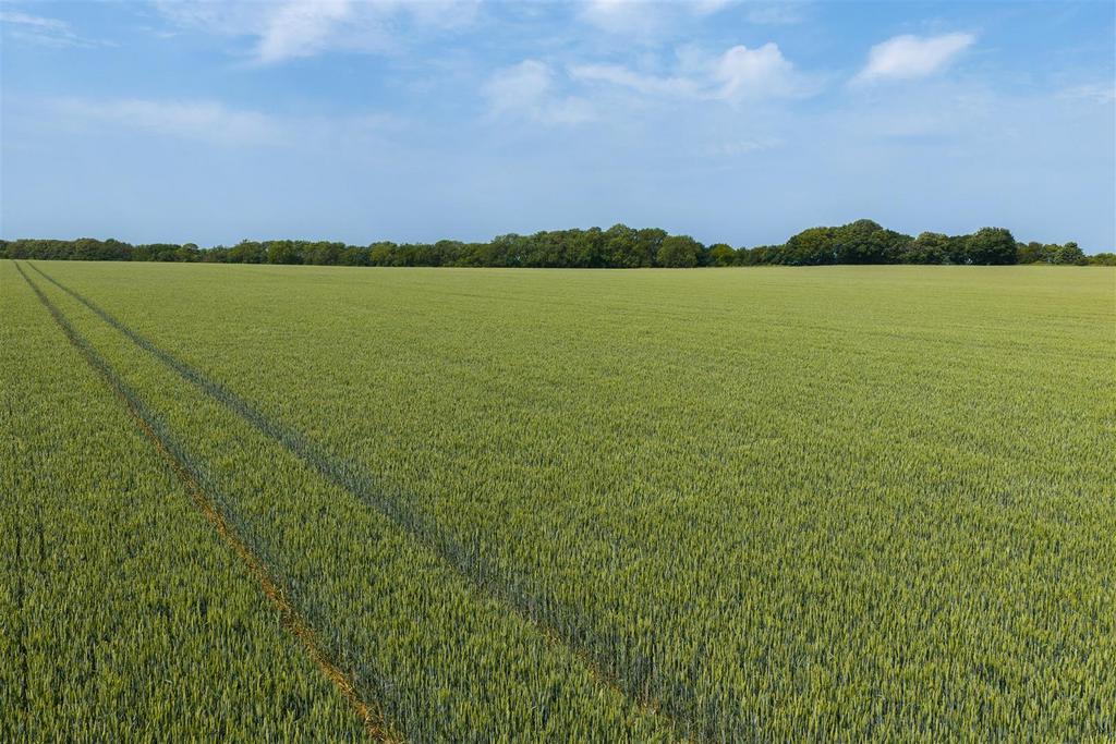 Drone - Grove Farm, Whitton (18 of 50).jpg