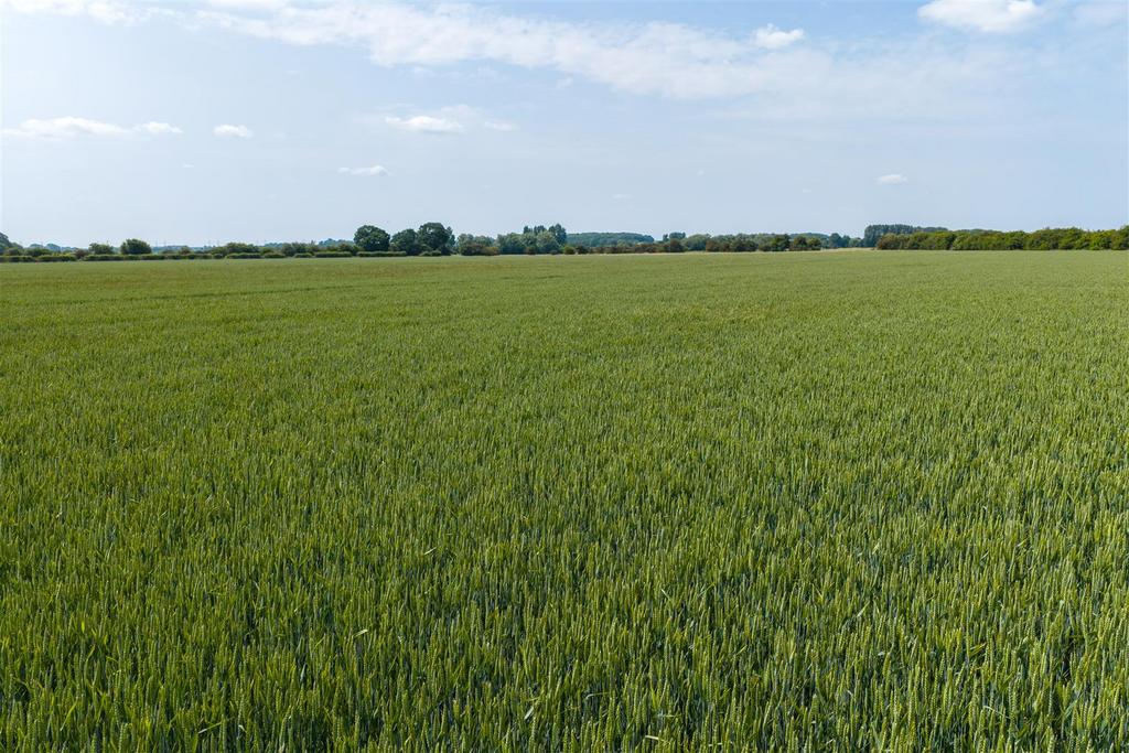 Drone - Grove Farm, Whitton (46 of 50).jpg