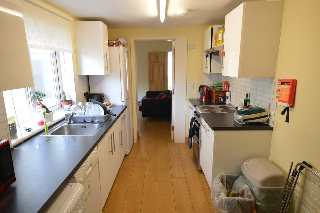 Hirwain Street, Cathays, Cardiff, CF24, Cardiff