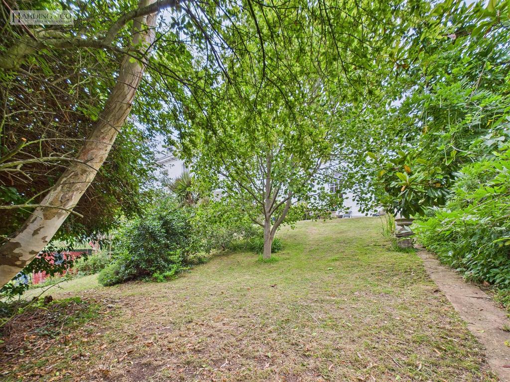Garden ii.jpg