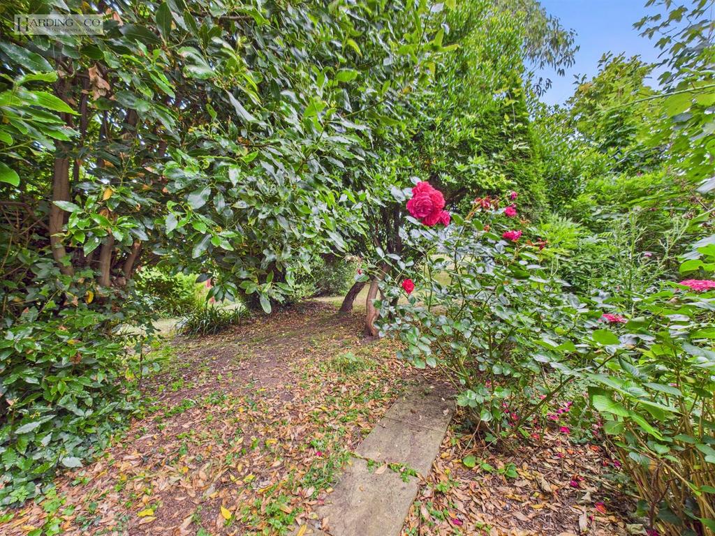 Garden iii.jpg