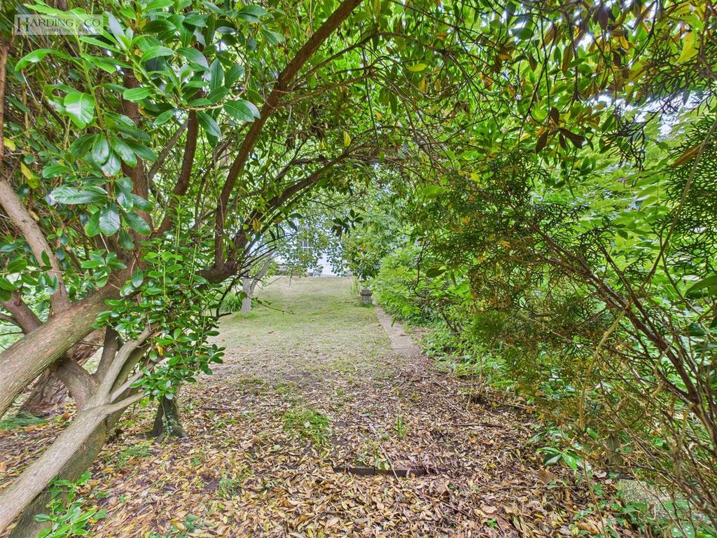 Garden iv.jpg