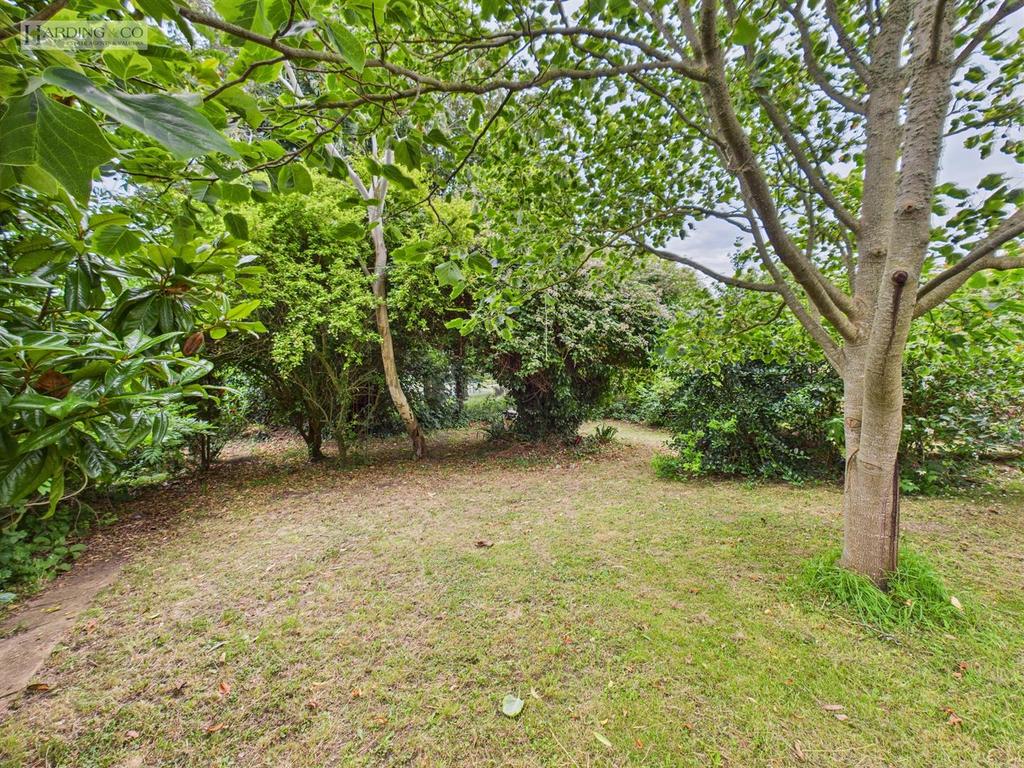 Garden.jpg