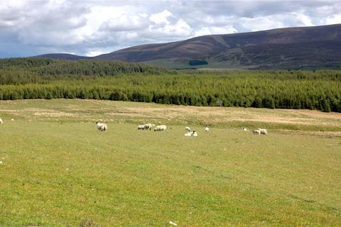 undefined, Hillhead Of Morinsh, Glenlivet, Ballindalloch, Moray, AB37