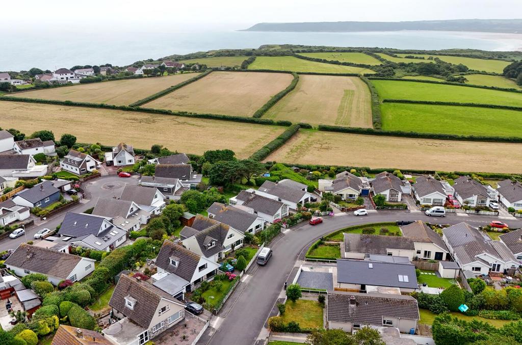 Cea21a51-4938-4f81-8da9-aeb05d1117d9.jpg