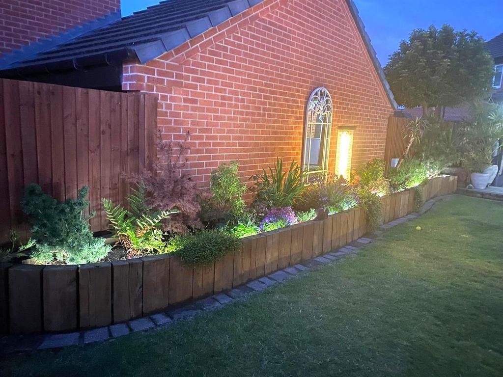 Garden by night