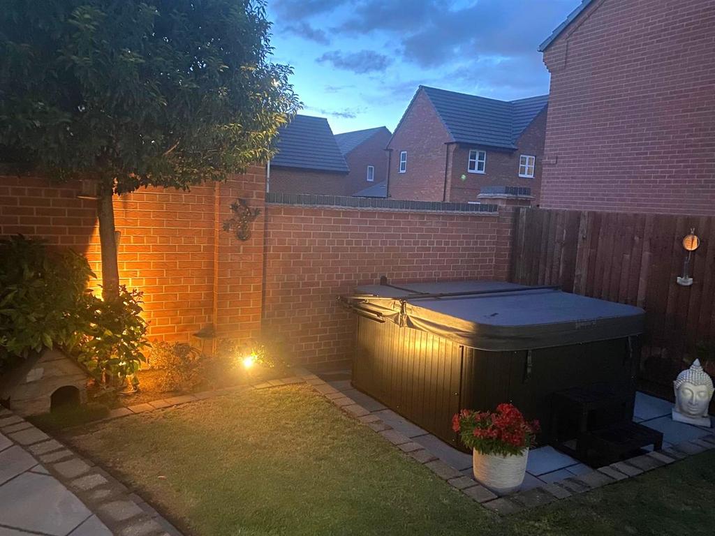 Garden by night