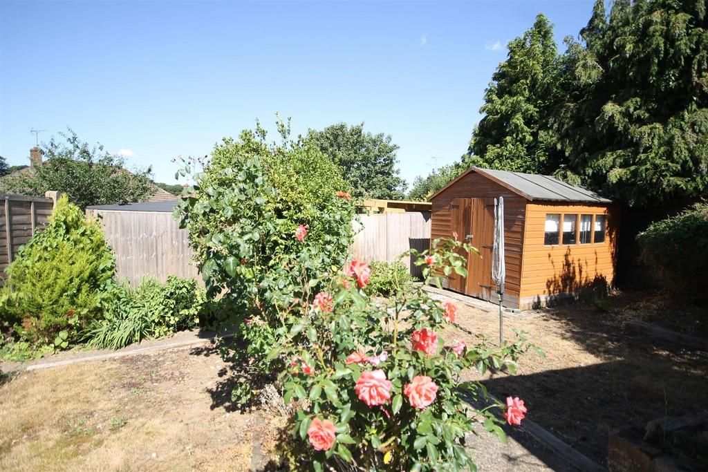 .garden.JPG