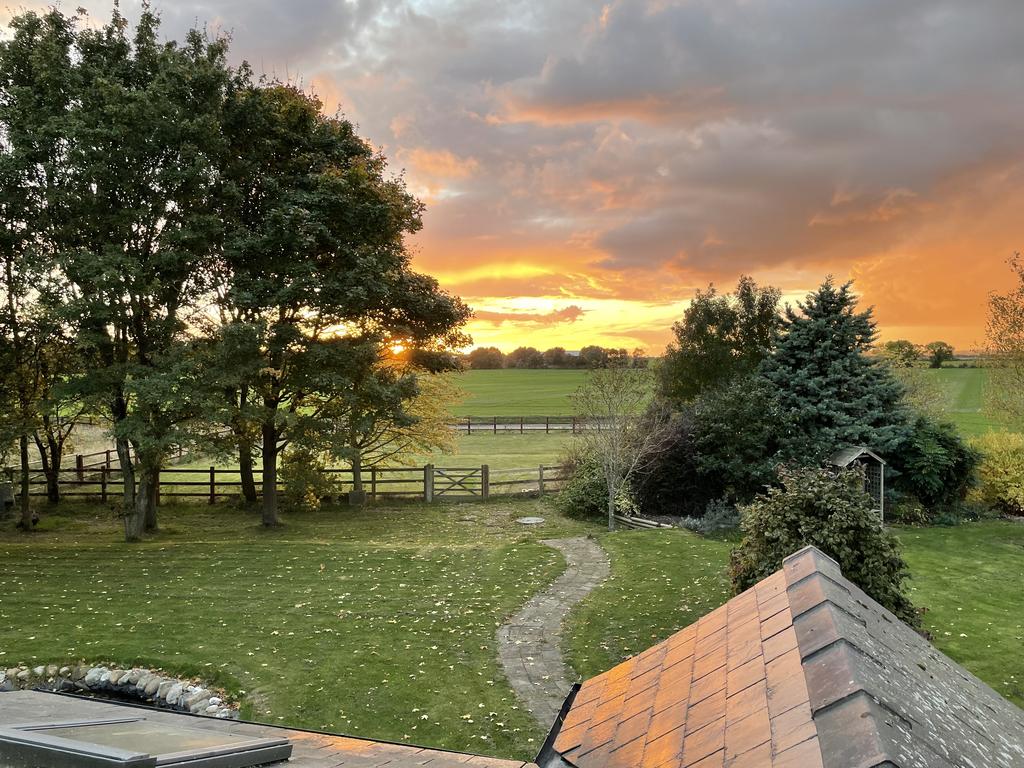 Gardensunset