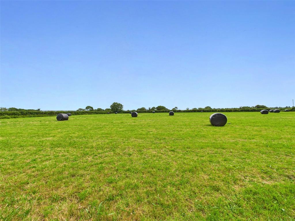 Field