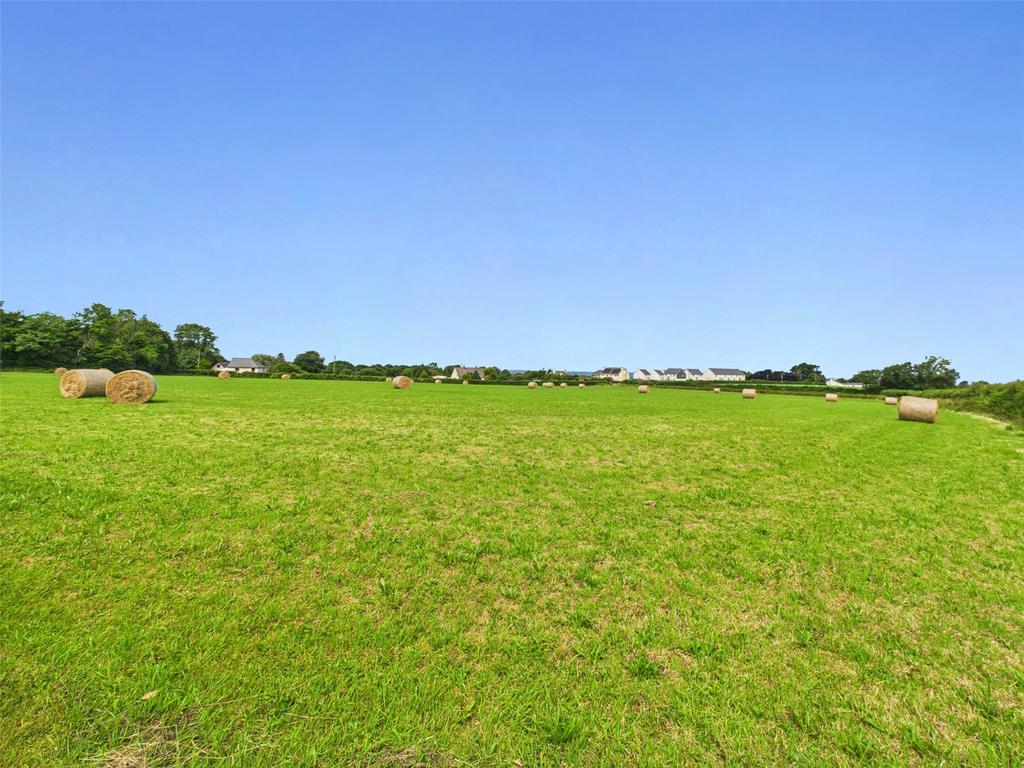 Field