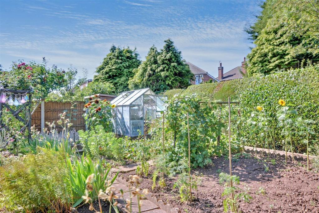 Garden 5.jpeg