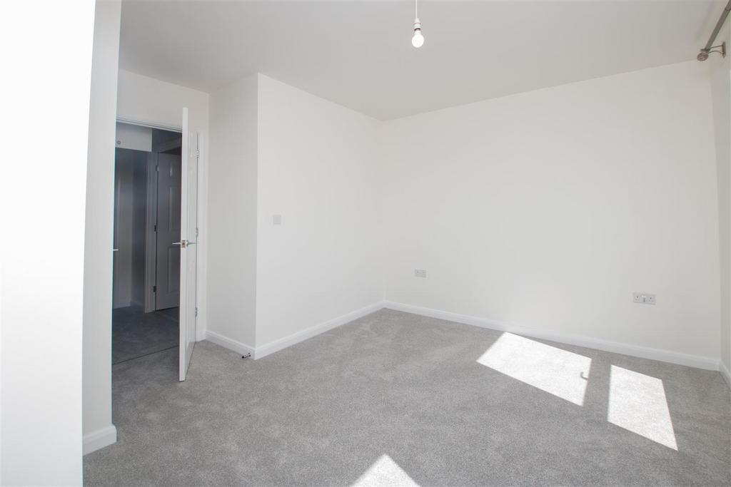 Haz 5.jpg