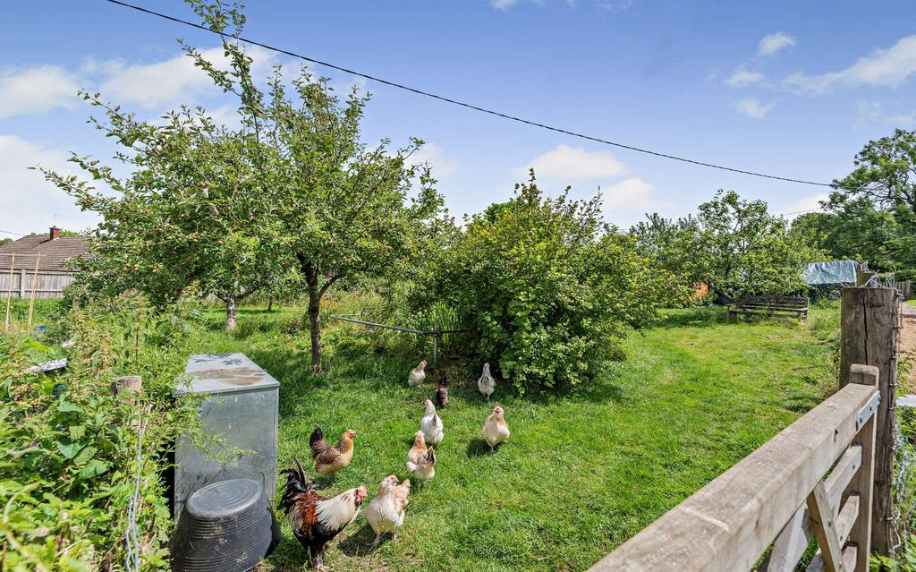 Allotment