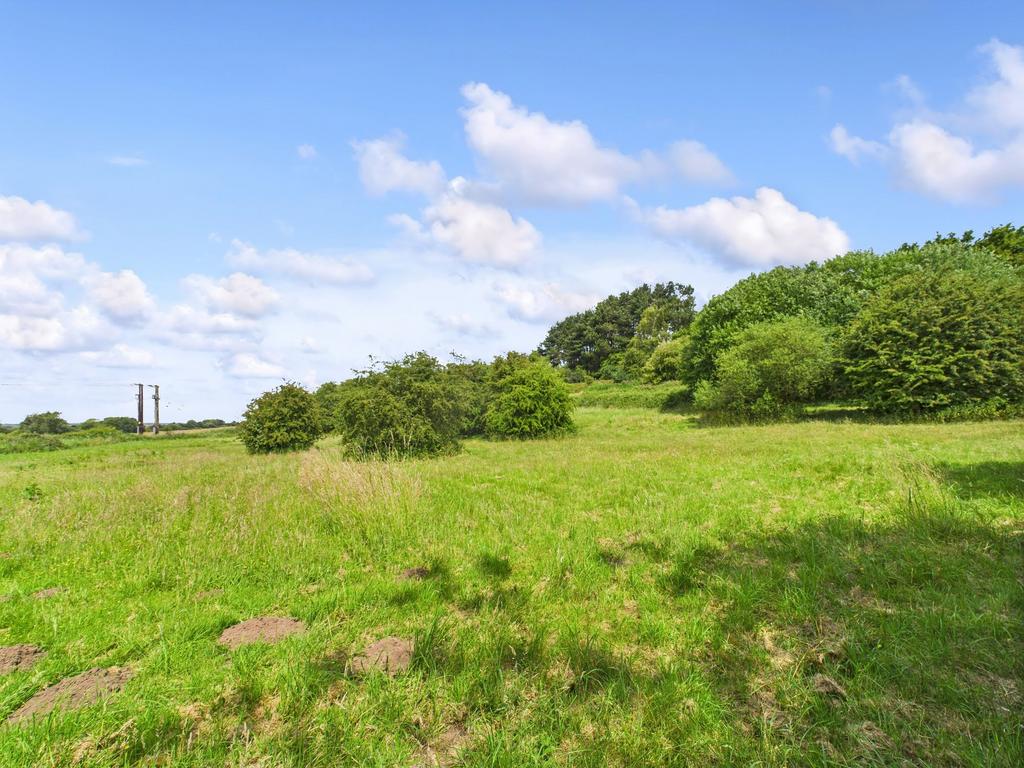 Field