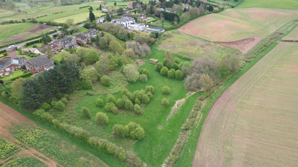 Drone of Field