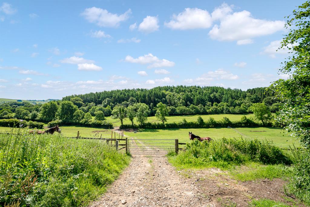 Pasture Land