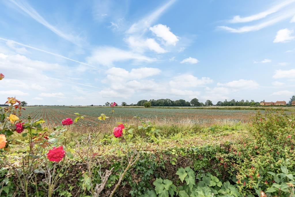 Field Views