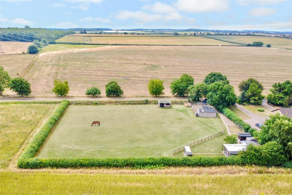 DJI 0081.jpg