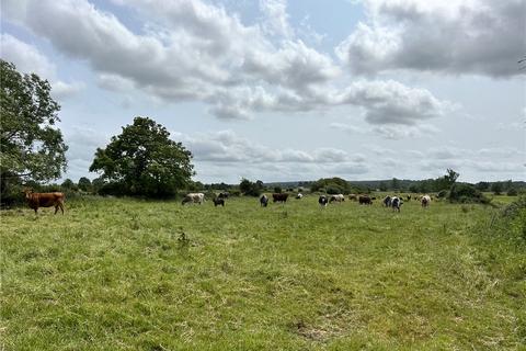 undefined, Street Drove, Somerset BA16