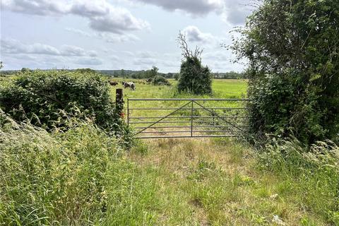 undefined, Street Drove, Somerset BA16