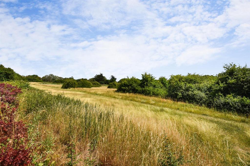 Conservation Area