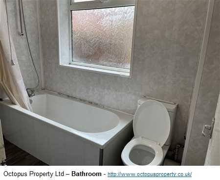 Picture 13