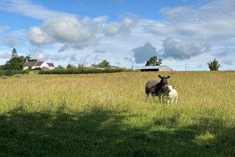 5 bedroom farm house for sale, Duns TD11