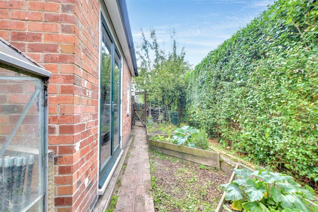 Garden 3.jpeg