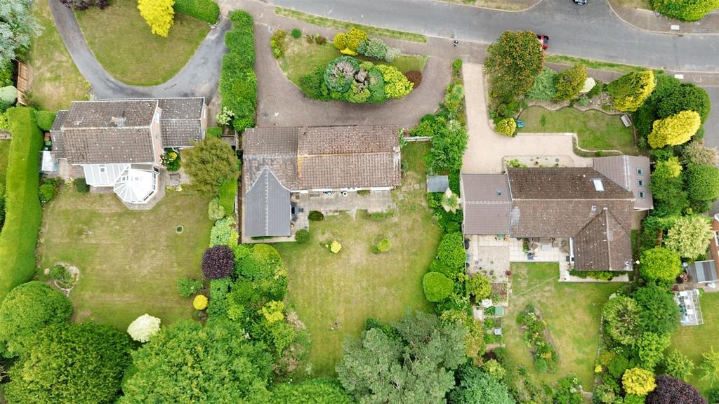 DJI 0015.jpg