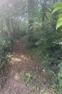 Smallholding for sale, Broadshell, Pyworthy, EX22