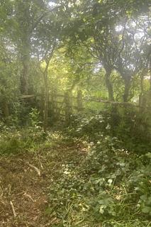 Smallholding for sale, Broadshell, Pyworthy, EX22