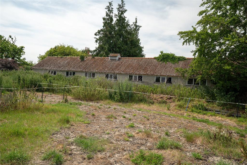 Picture 20