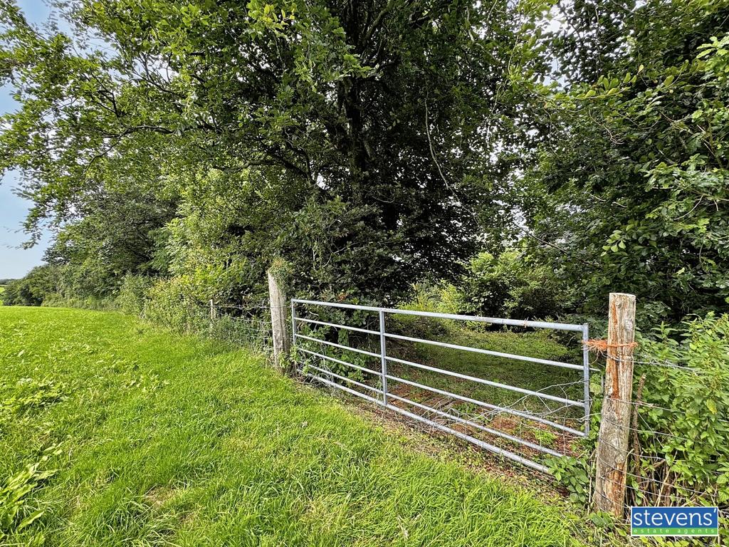 Image00001