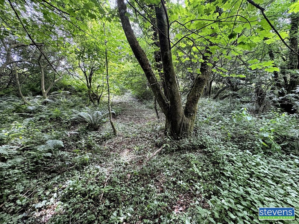 Image00005