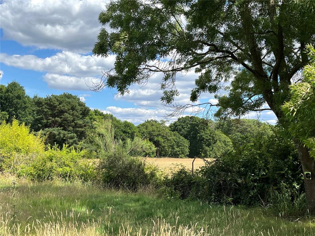 Land