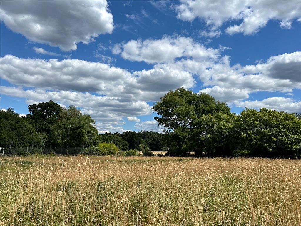 Land