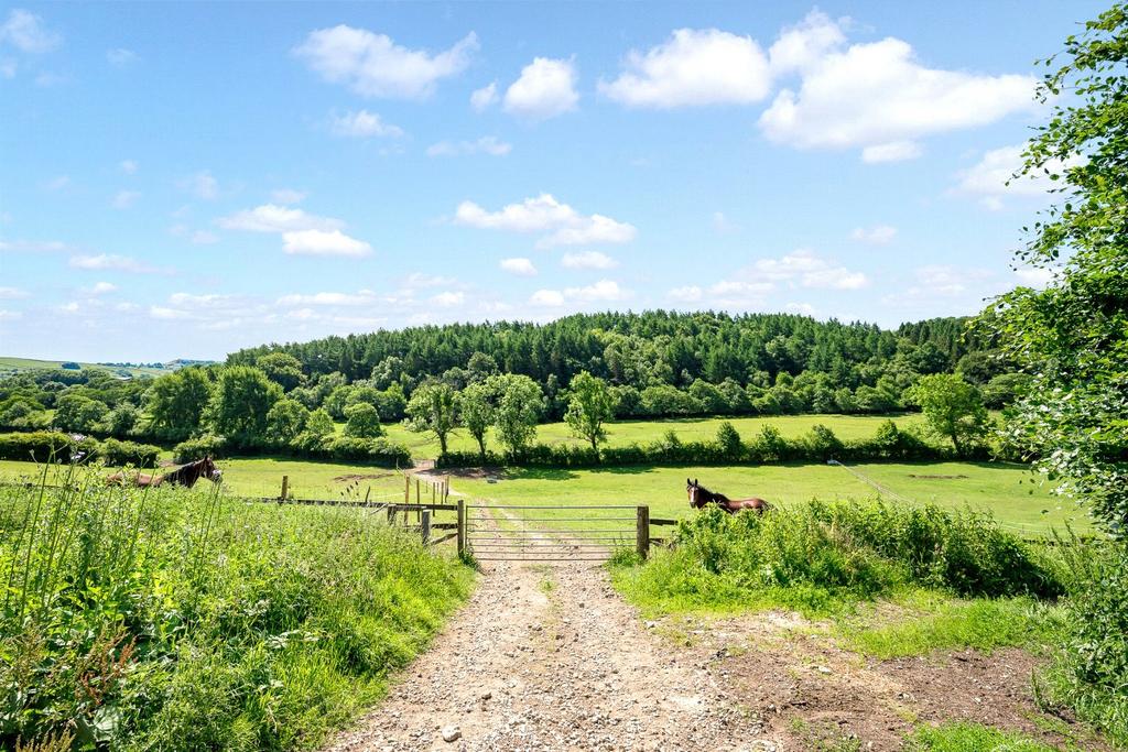 Pasture Land