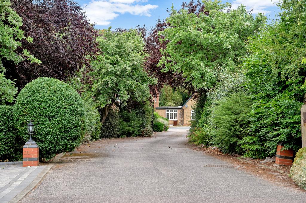 Driveway