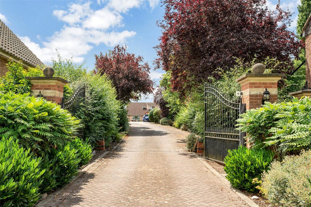 Driveway