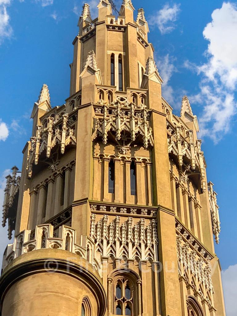 Area View Of The Tower