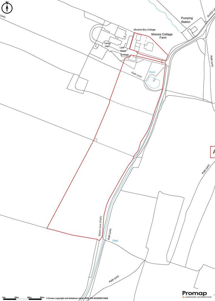 Promap-3366987-3464536-750-0.jpg