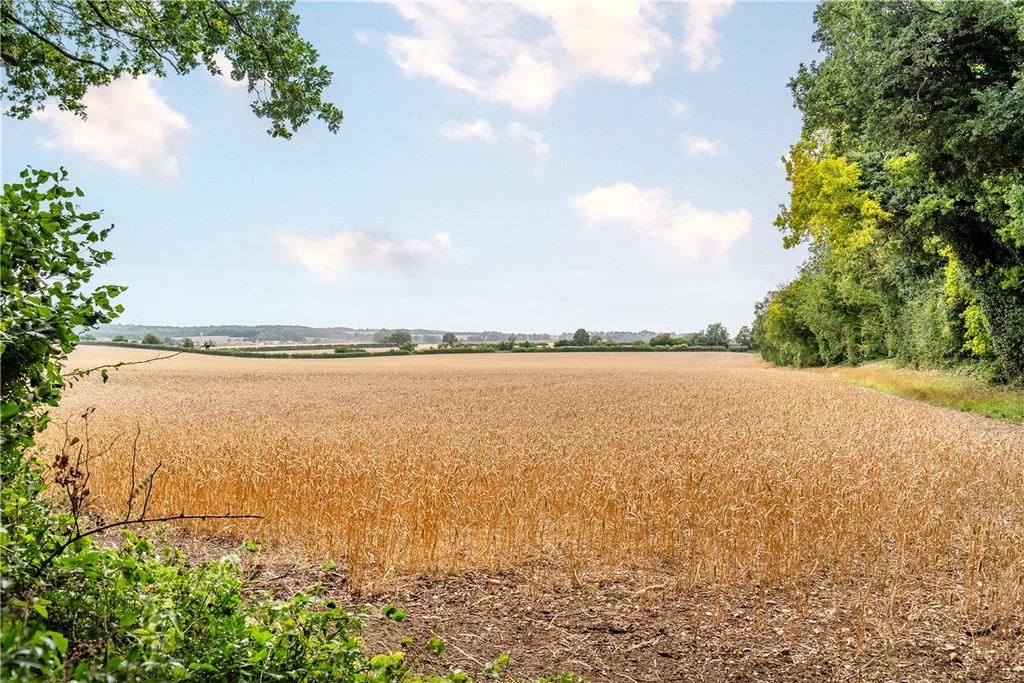 Surrounding Area