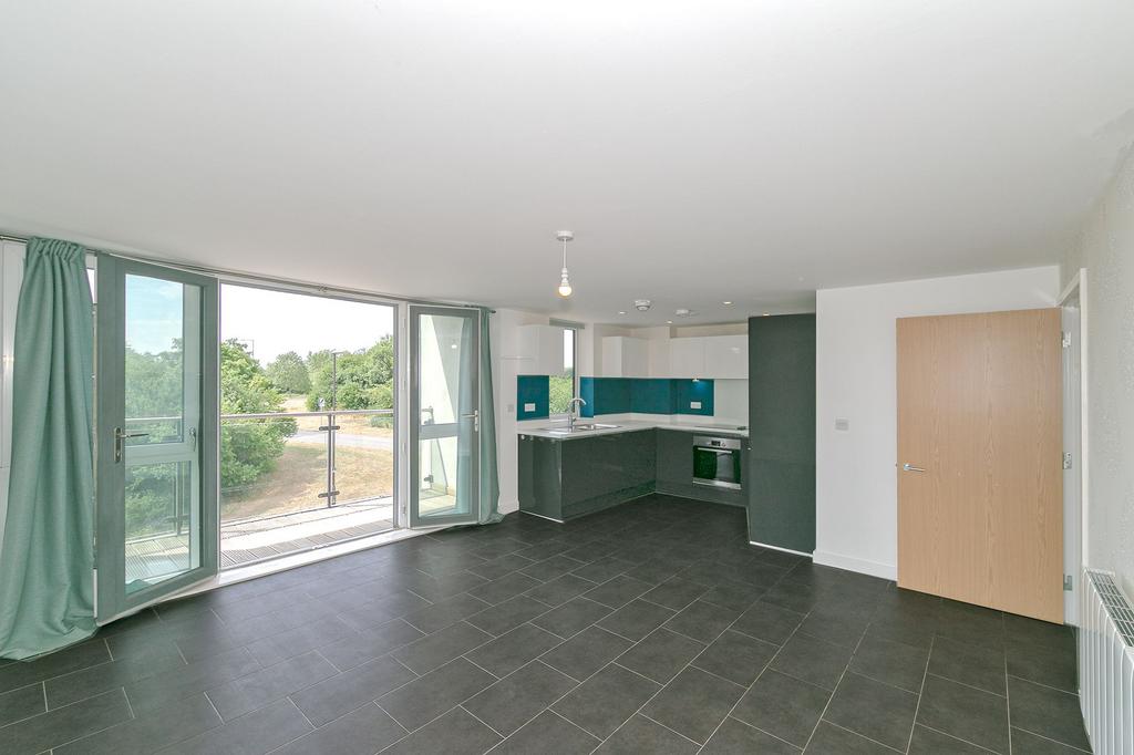 Kitchen/Living/Dining Room